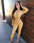 Damen Velours-Loungewear Set mit hochgeschlossener Jacke und elastischem Bund R&B