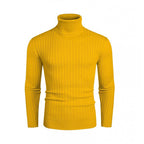 Herren Rollkragenpullover mit geripptem Design R&B