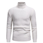Herren Hochwertiger Rollkragenpullover im strukturierten Design R&B