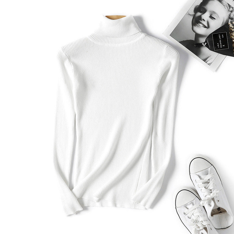 Damen Rollkragenpullover im feinen Rippenstrick R&B