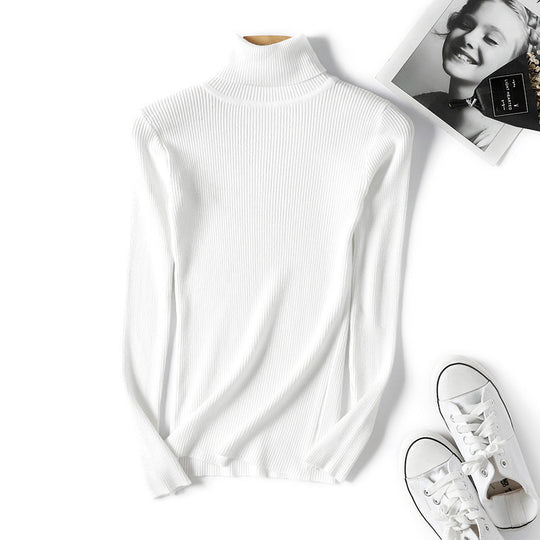 Damen Rollkragenpullover im feinen Rippenstrick R&B