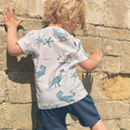 Jungen Sommer Outfit mit Dinosaurier-Print R&B