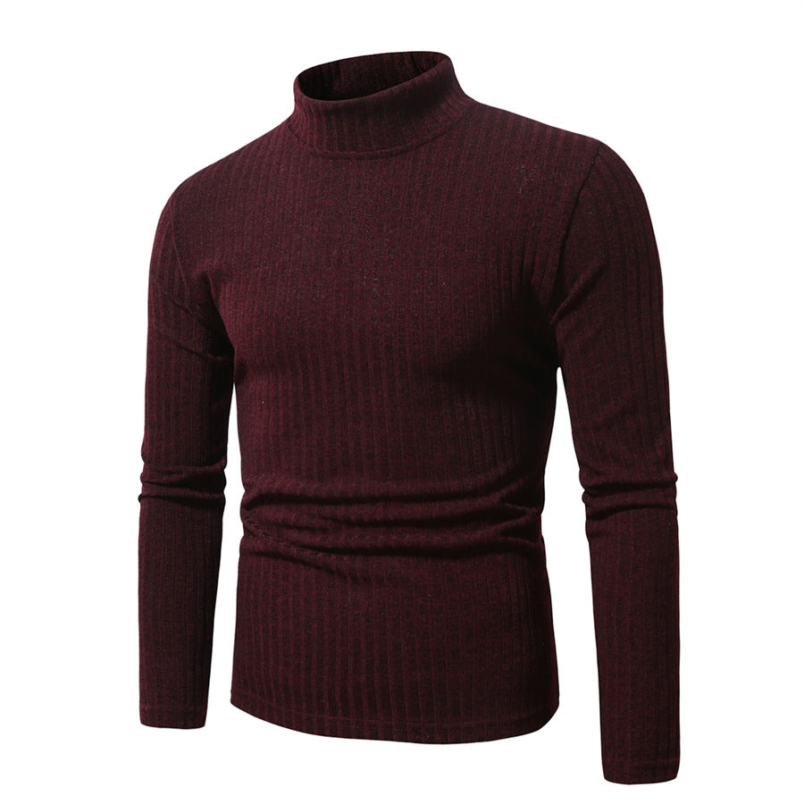 Herren feinstrickender Rollkragenpullover R&B