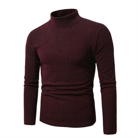 Herren feinstrickender Rollkragenpullover R&B