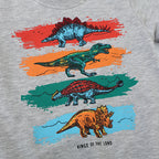 Jungen Sweatshirt mit lR&Bendigem Dinosaurier-Motiv R&B