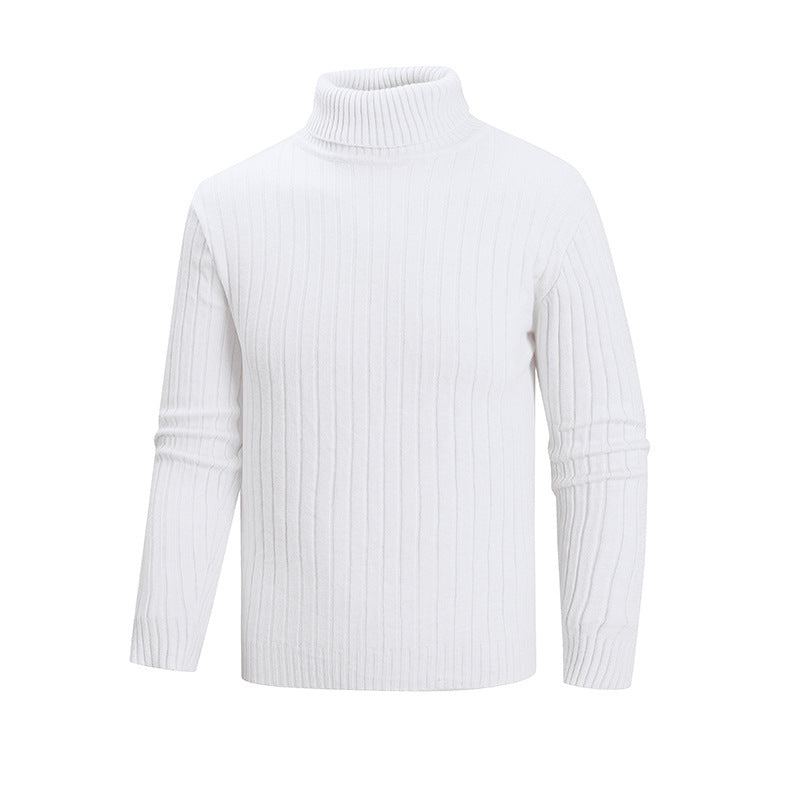 Herren Strickpullover mit Stehkragen R&B