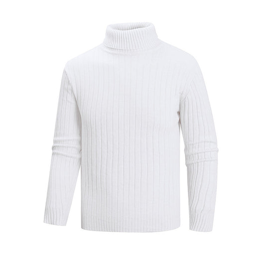 Herren Strickpullover mit Stehkragen R&B
