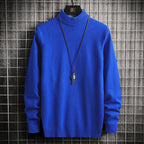 Herren Rollkragenpullover aus weicher Strickqualität R&B