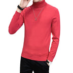 Herren Pullover mit hohem Kragen aus weicher Strickware R&B