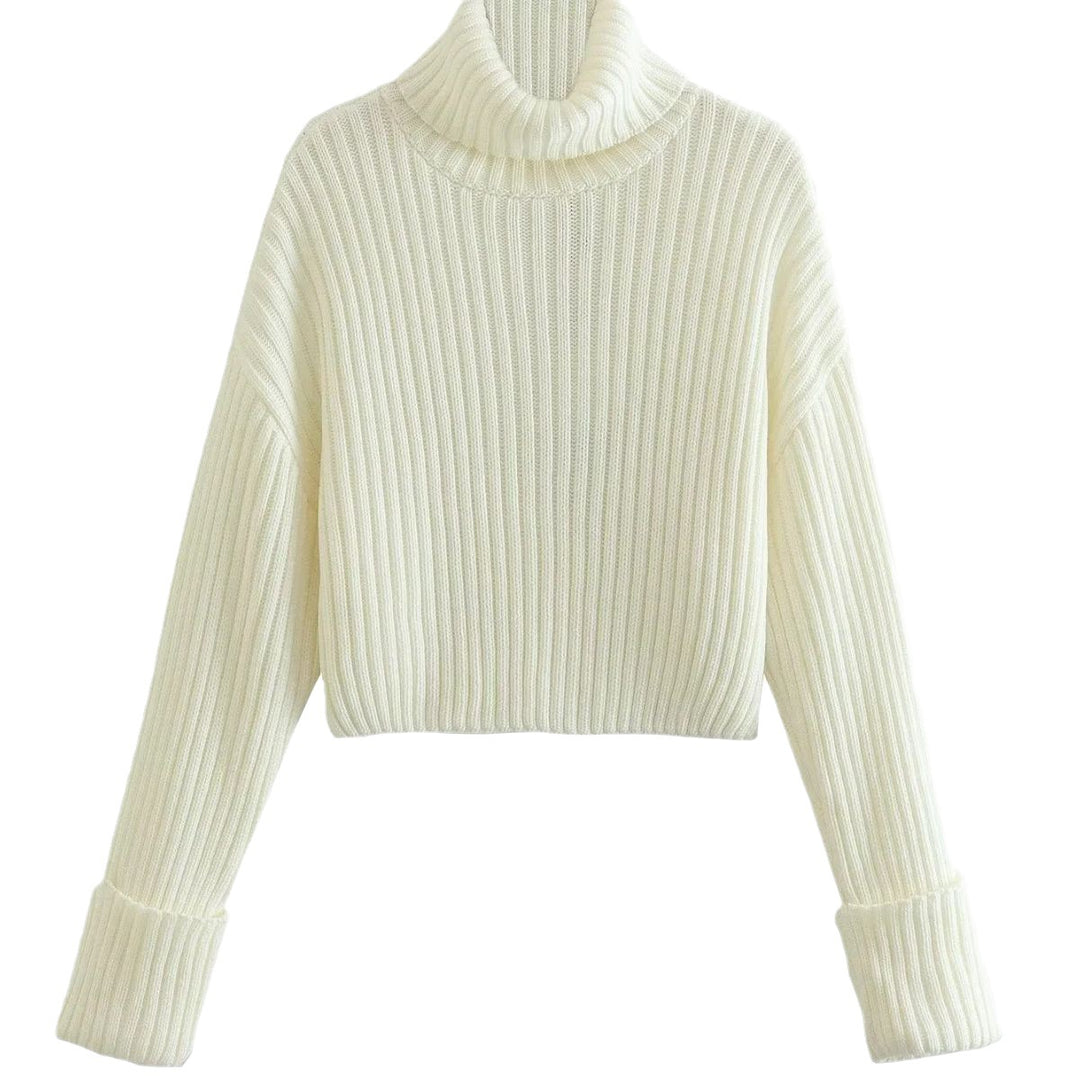 Damen Strickpullover mit hohem Kragen R&B