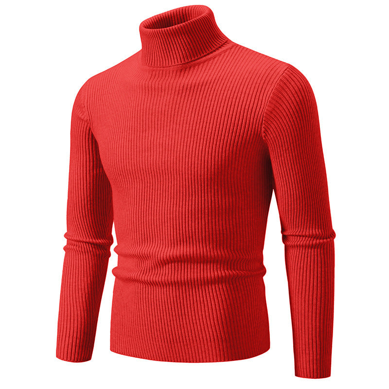Herren modischer Rollkragenpullover mit feiner Rippstruktur R&B
