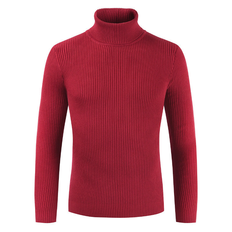 Damen Rollkragenpullover aus gehäkeltem Strick R&B