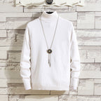 Herren Rollkragenpullover aus hochwertigem Strickmaterial
