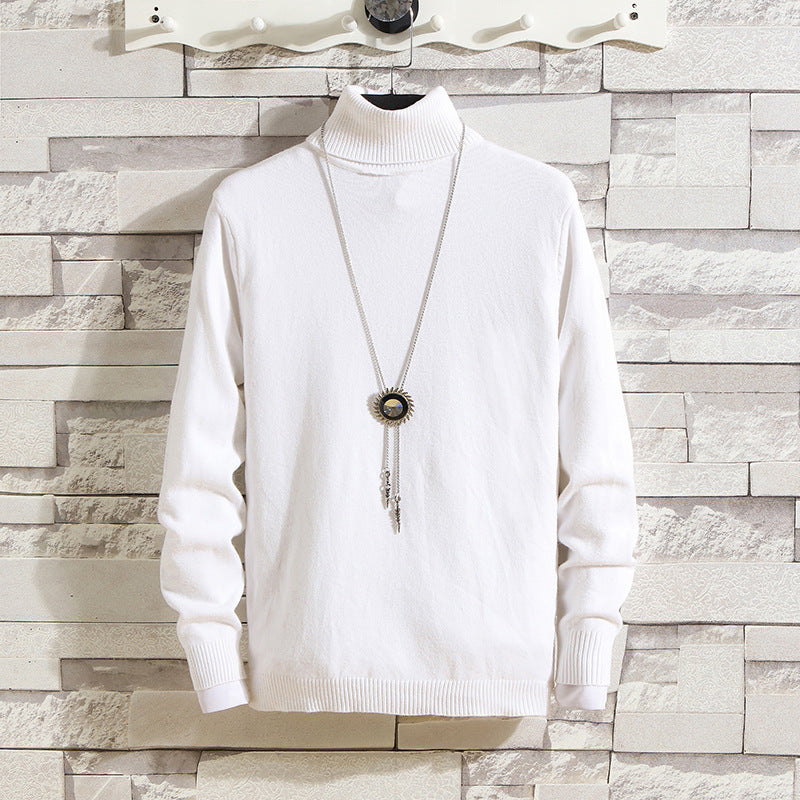 Herren Rollkragenpullover aus hochwertigem Strickmaterial