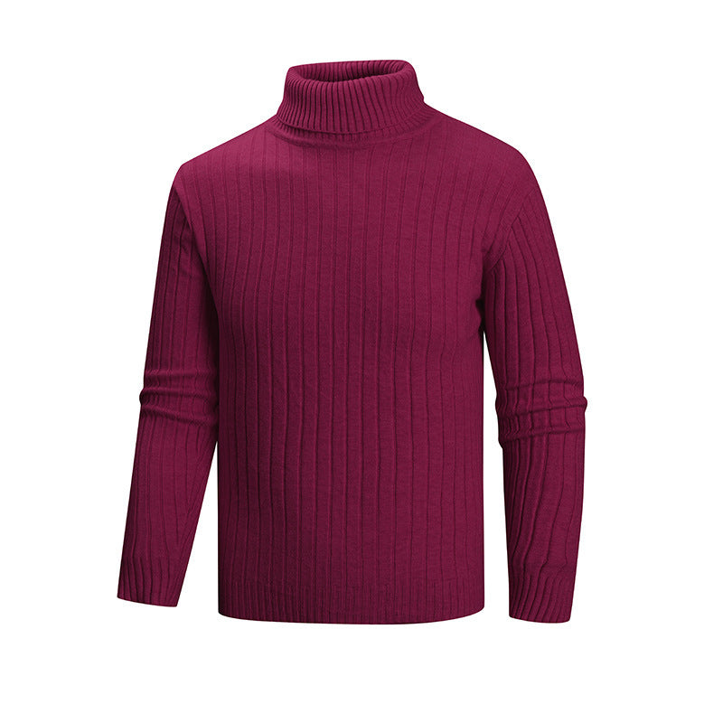 Herren Strickpullover mit Stehkragen R&B