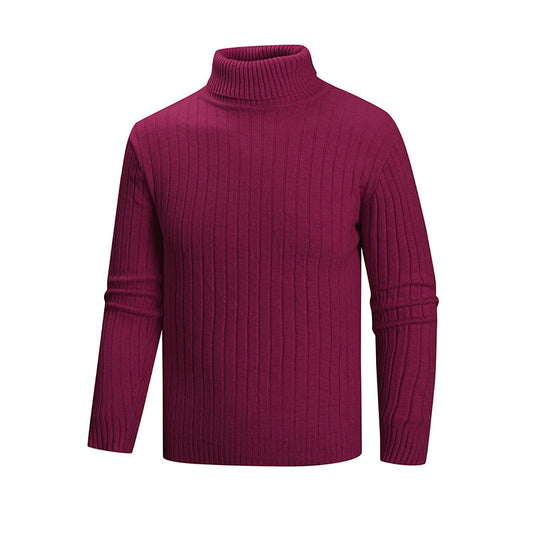 Herren Strickpullover mit Stehkragen R&B