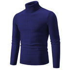 Herren eleganter Rollkragenpullover mit modernem Zopfmuster R&B