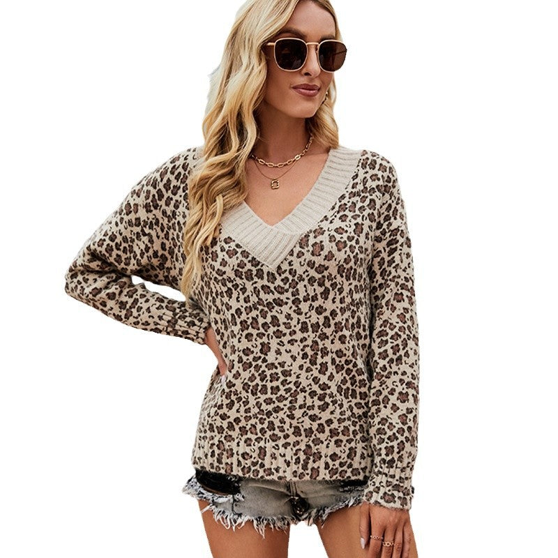 Damen Pullover mit V-Ausschnitt und modernem Leo-Muster R&B