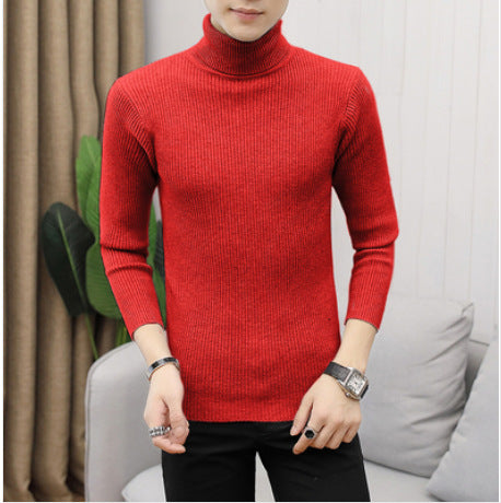 Herren Rollkragenpullover aus hochwertigem Strickmaterial mit Rippstruktur R&B