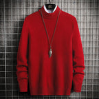 Herren Rollkragenpullover aus weicher Strickqualität R&B