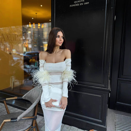 Damen Elegantes Kleid mit transparenten Einsätzen und federverzierten Ärmeln R&B