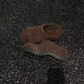 Damen Clogs aus hochwertigem Filz mit robustem Profil und rutschfester Sohle R&B