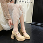 Damen Mary Jane Blockabsatz Schuhe mit eleganter Schnalle R&B