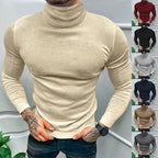 Herren eleganter Rollkragenpullover aus hochwertigem Baumwollmix R&B