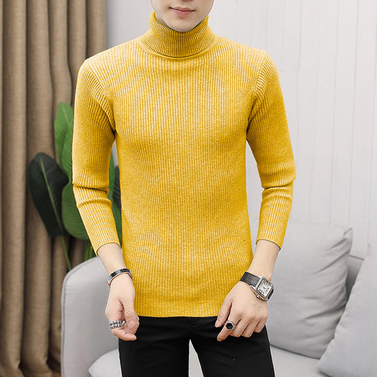 Herren Rollkragenpullover aus hochwertigem Strickmaterial mit Rippstruktur R&B