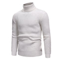 Herren Hochwertiger Rollkragenpullover im strukturierten Design R&B