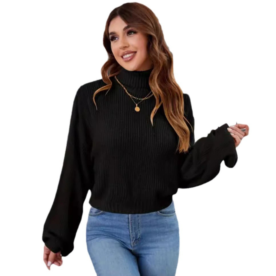 Damen Strickpullover mit hohem Kragen und lässigem Schnitt R&B