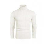 Herren Rollkragenpullover mit geripptem Design R&B