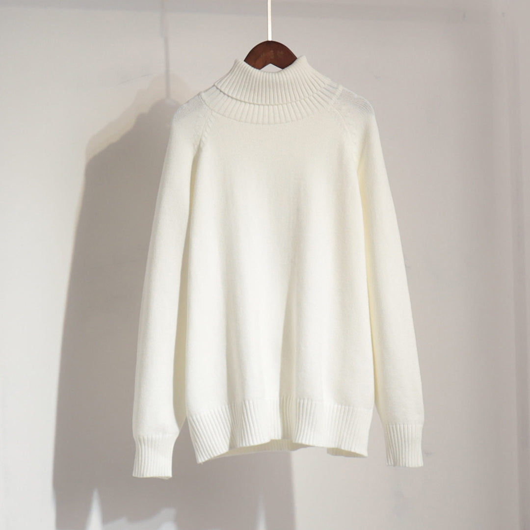 Damen Feinstrickpullover mit hohem Kragen R&B