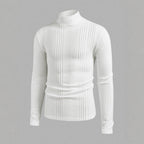 Herren Strickpullover mit hohem Kragen und Rippstruktur R&B