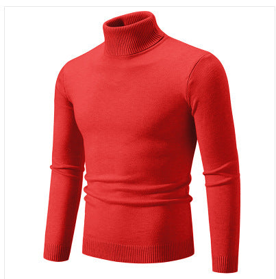 Herren Rollkragenpullover aus weichem Feinstrick R&B