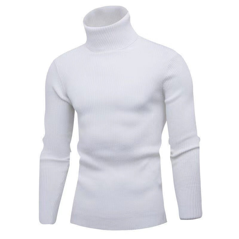 Herren modischer Rollkragenpullover mit feiner Rippstruktur R&B
