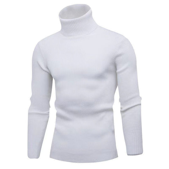 Herren modischer Rollkragenpullover mit feiner Rippstruktur R&B