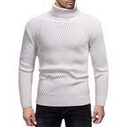 Herren Rollkragenpullover mit strukturiertem Rippdesign R&B