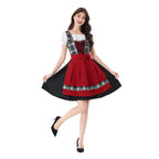 Damen nan traditionelles Dirndlkleid mit Karo-Mieder und gesteppter Schürze R&B