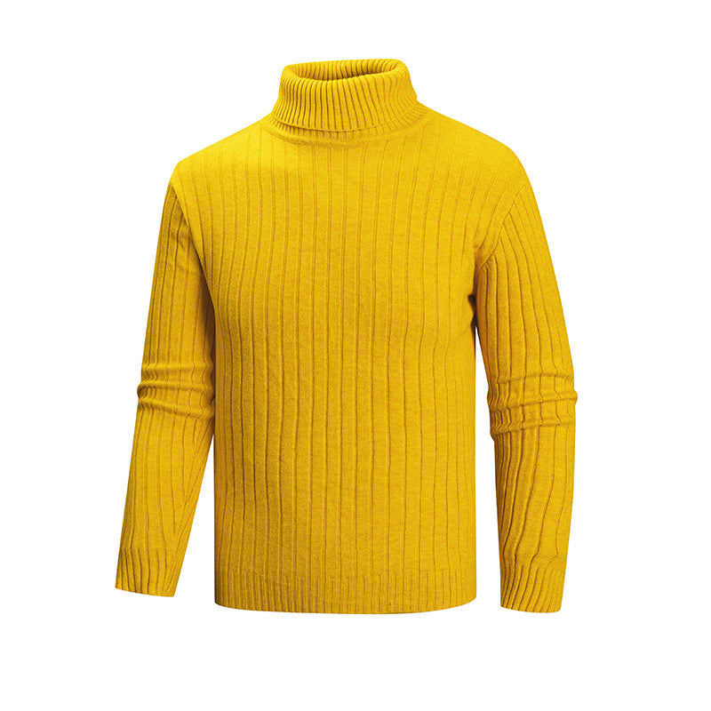 Herren Strickpullover mit Stehkragen R&B