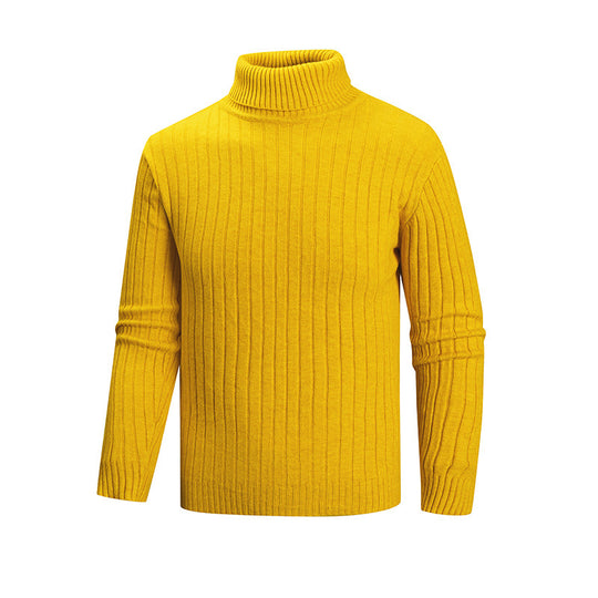 Herren Strickpullover mit Stehkragen R&B