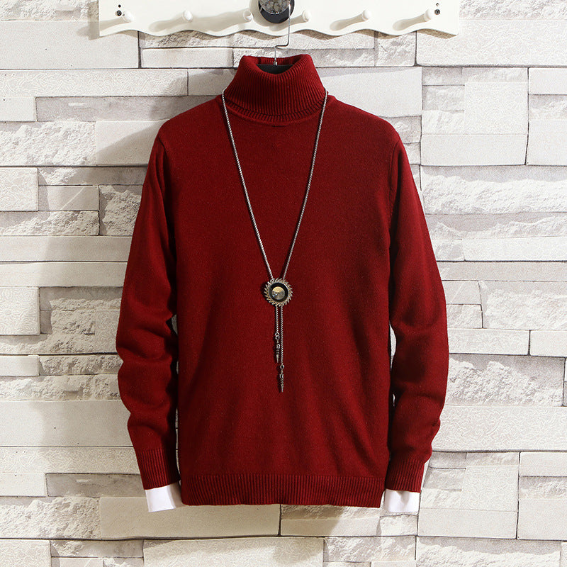 Herren Rollkragenpullover aus hochwertigem Strickmaterial R&B