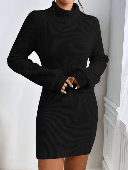 Damen Strickkleid mit hohem Kragen und langen Ärmeln R&B