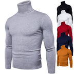 Herren Rollkragenpullover aus weichem Feinstrick R&B