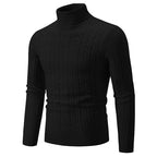 Herren Strickpullover mit hochgeschlossenem Kragen und Zopfmuster R&B