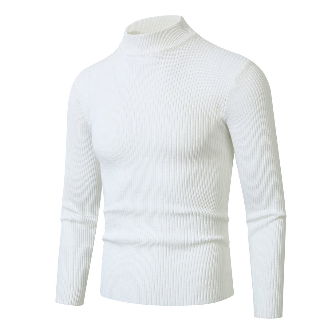 Herren modischer Rollkragenpullover aus feiner Wolle R&B