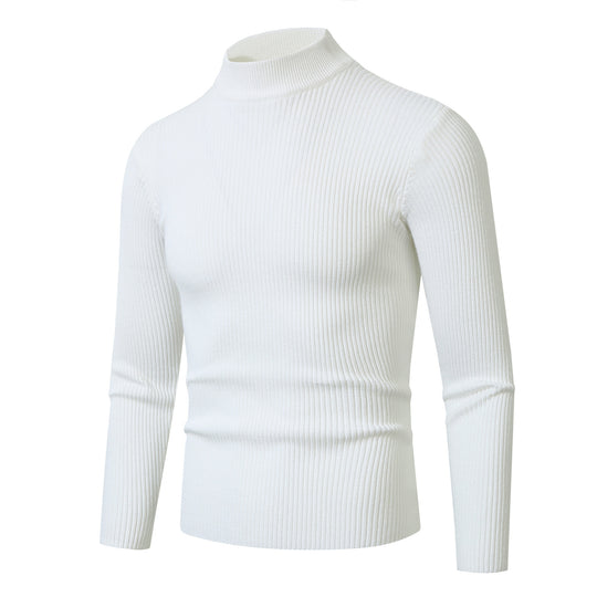 Herren modischer Rollkragenpullover aus feiner Wolle R&B