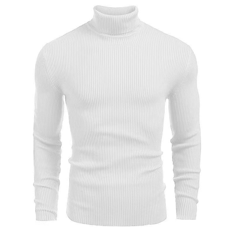Herren Rollkragenpullover aus hochwertigem Strickmaterial mit Rippstruktur R&B
