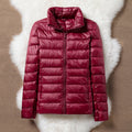 R&B | Klassisch Weinrote Jacke