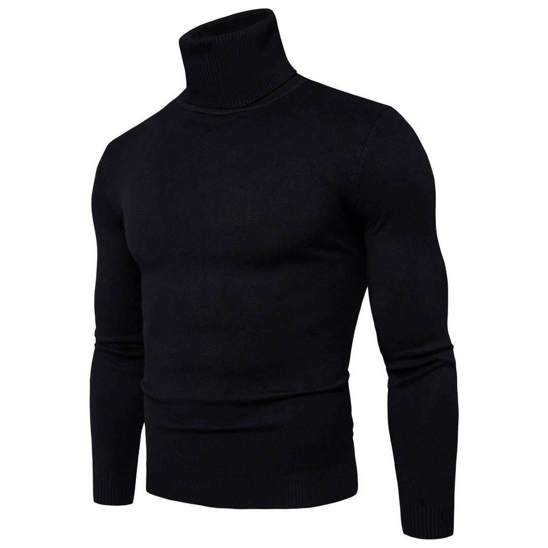Herren Rollkragenpullover aus weichem Feinstrick R&B